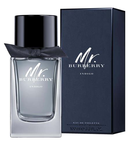 mr burberry indigo edt 50ml|mr Burberry cologne.